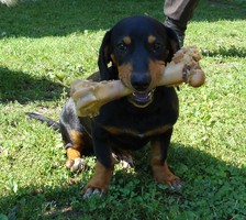 Campi photo
