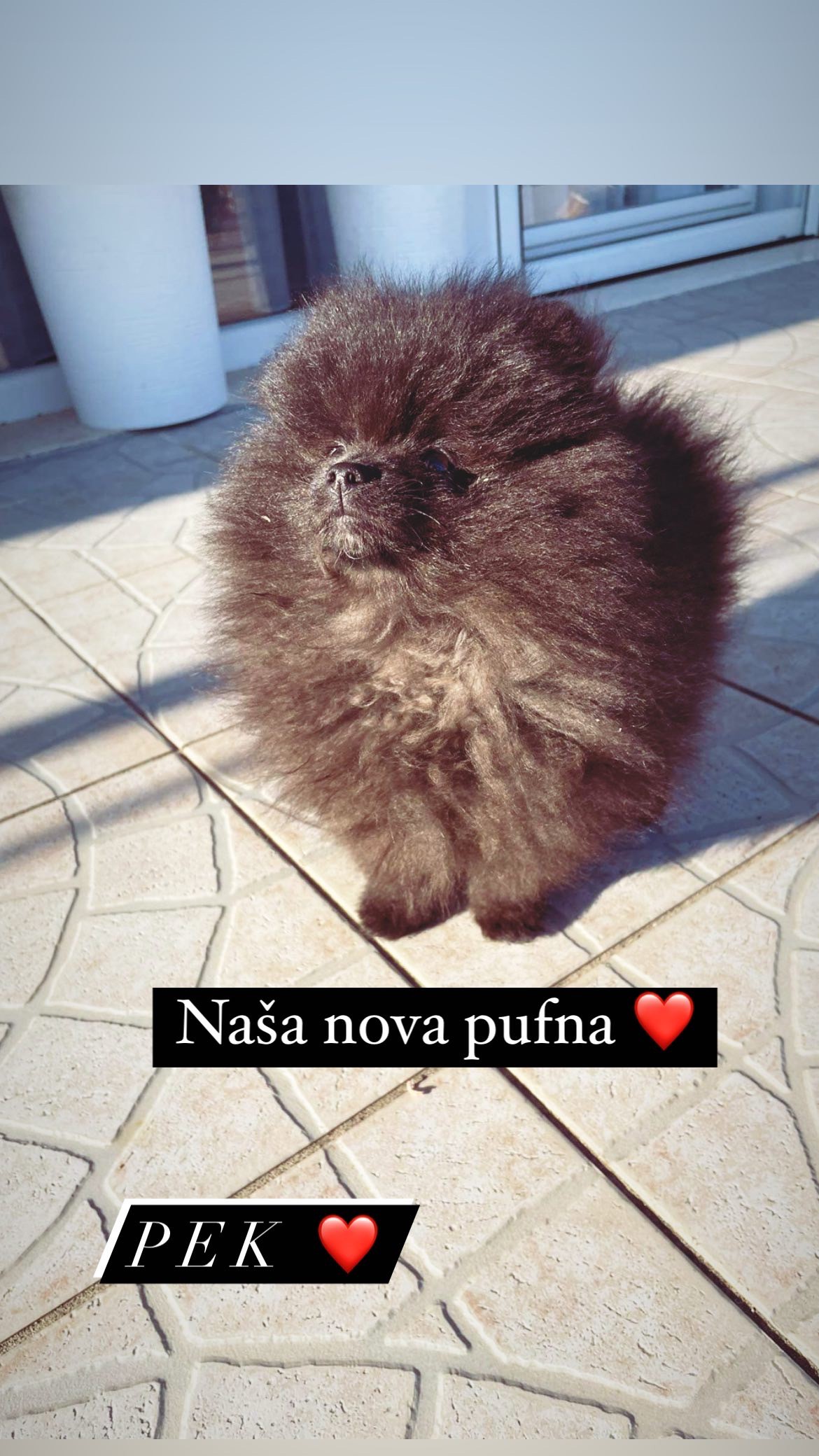 Pek photo