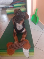 Lala photo